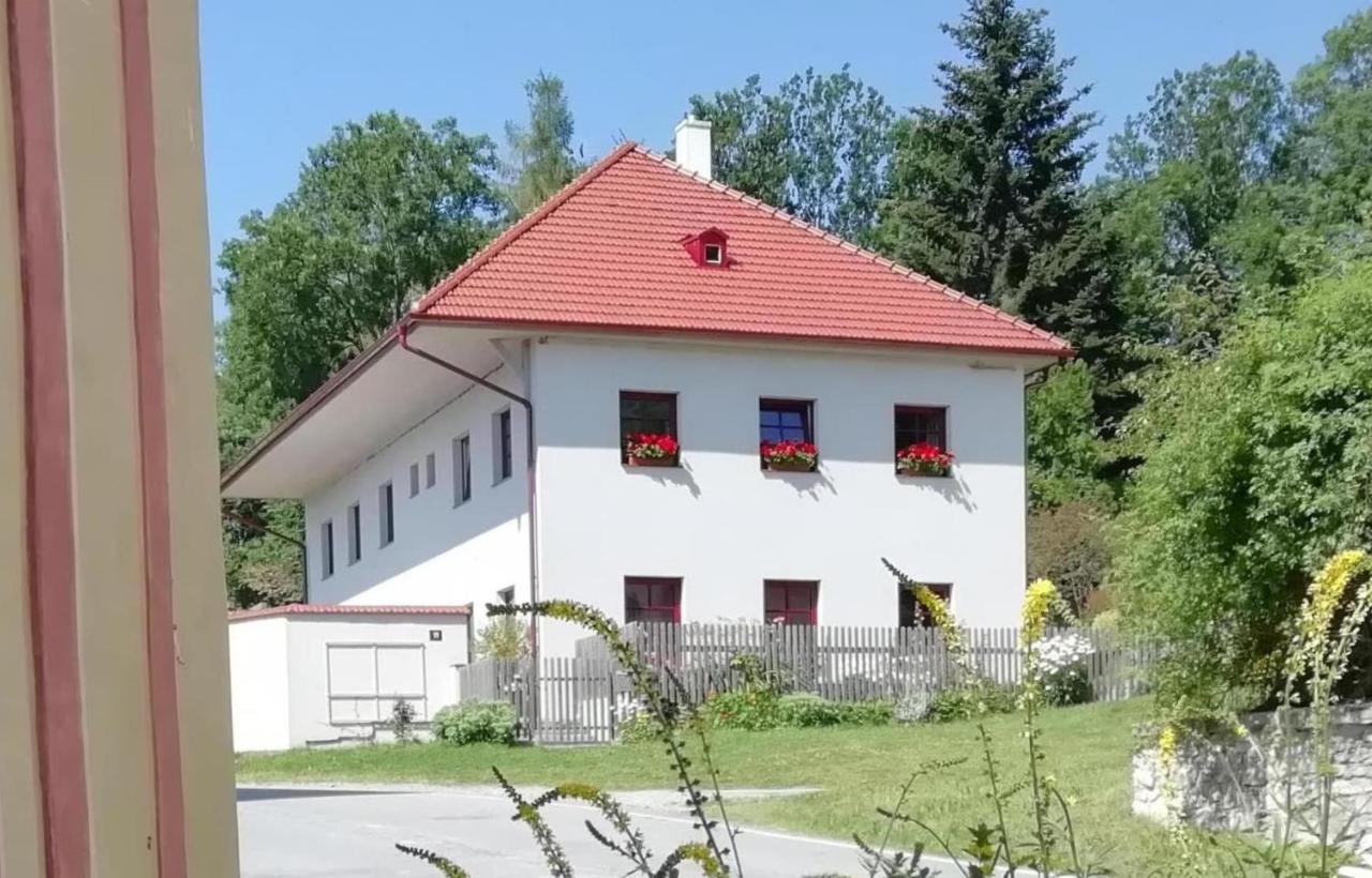 Ubytovani Praschlhaus Horní Planá Exterior foto