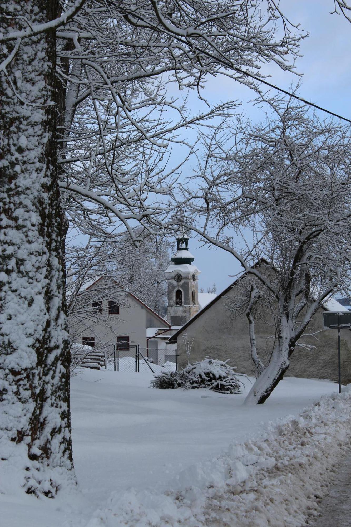 Ubytovani Praschlhaus Horní Planá Exterior foto