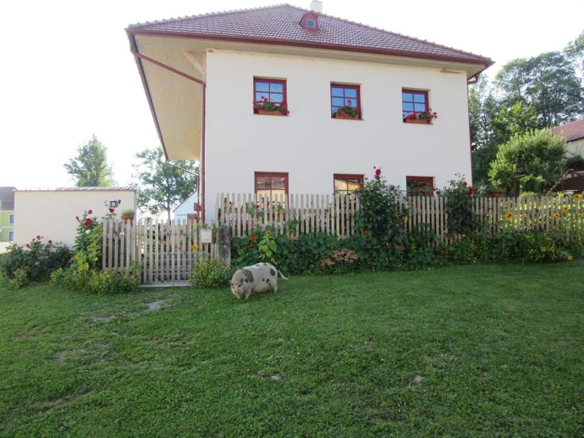 Ubytovani Praschlhaus Horní Planá Exterior foto